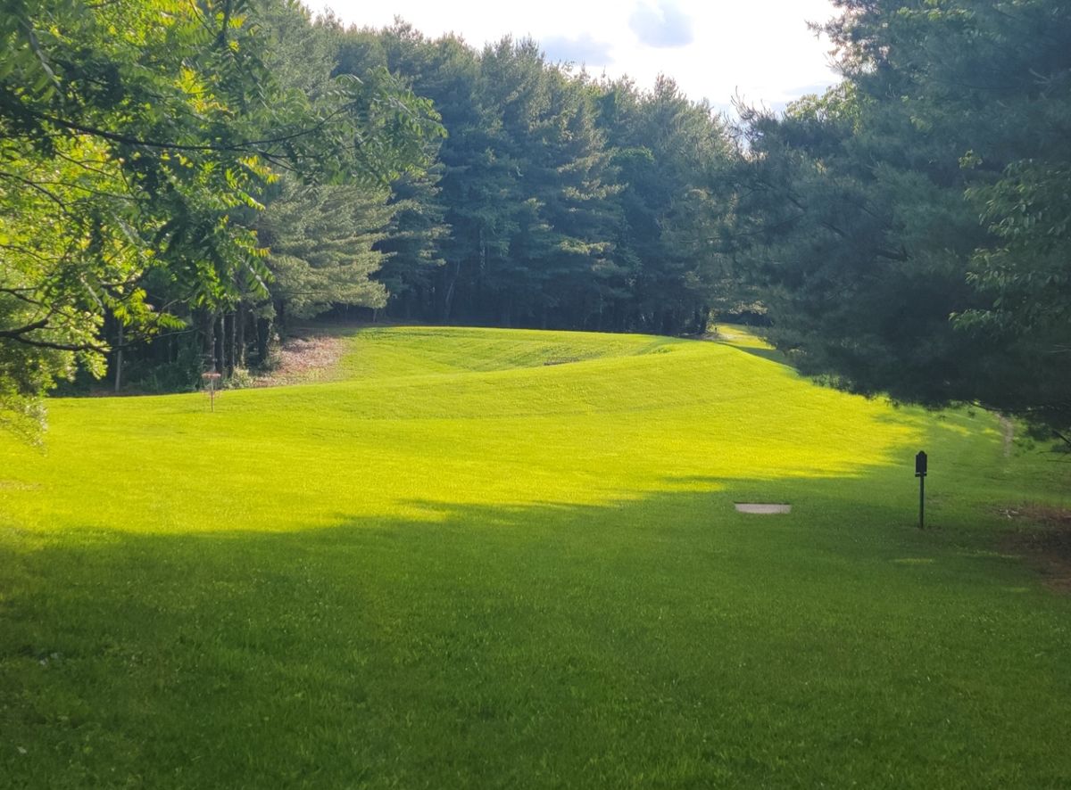 Hole 5 basket from hole 6 fairway.