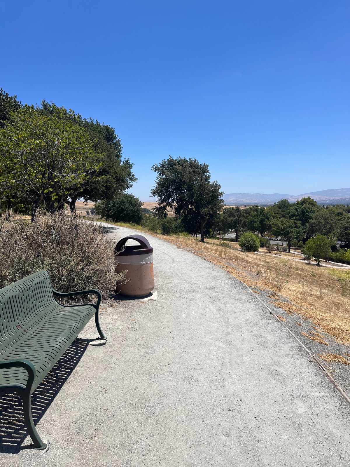 Hole 7 (June 25)