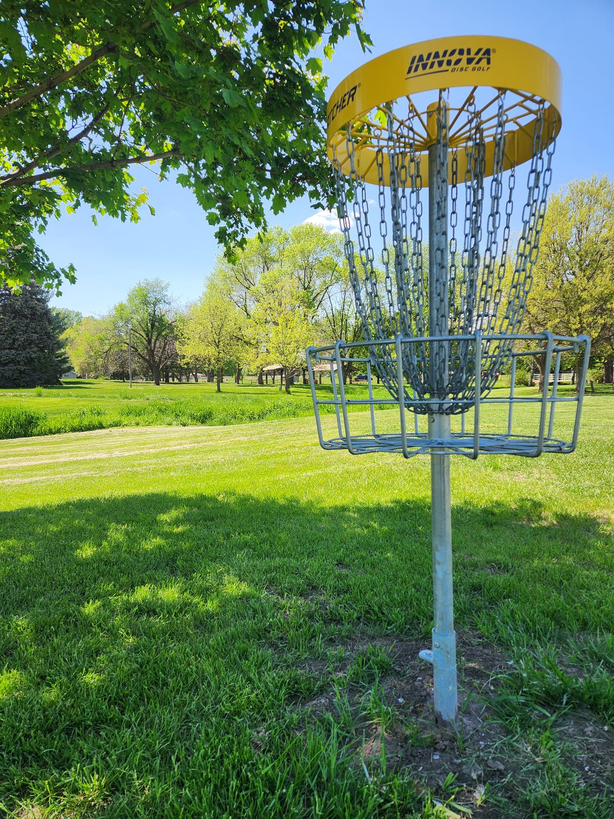 Hole 8 Basket