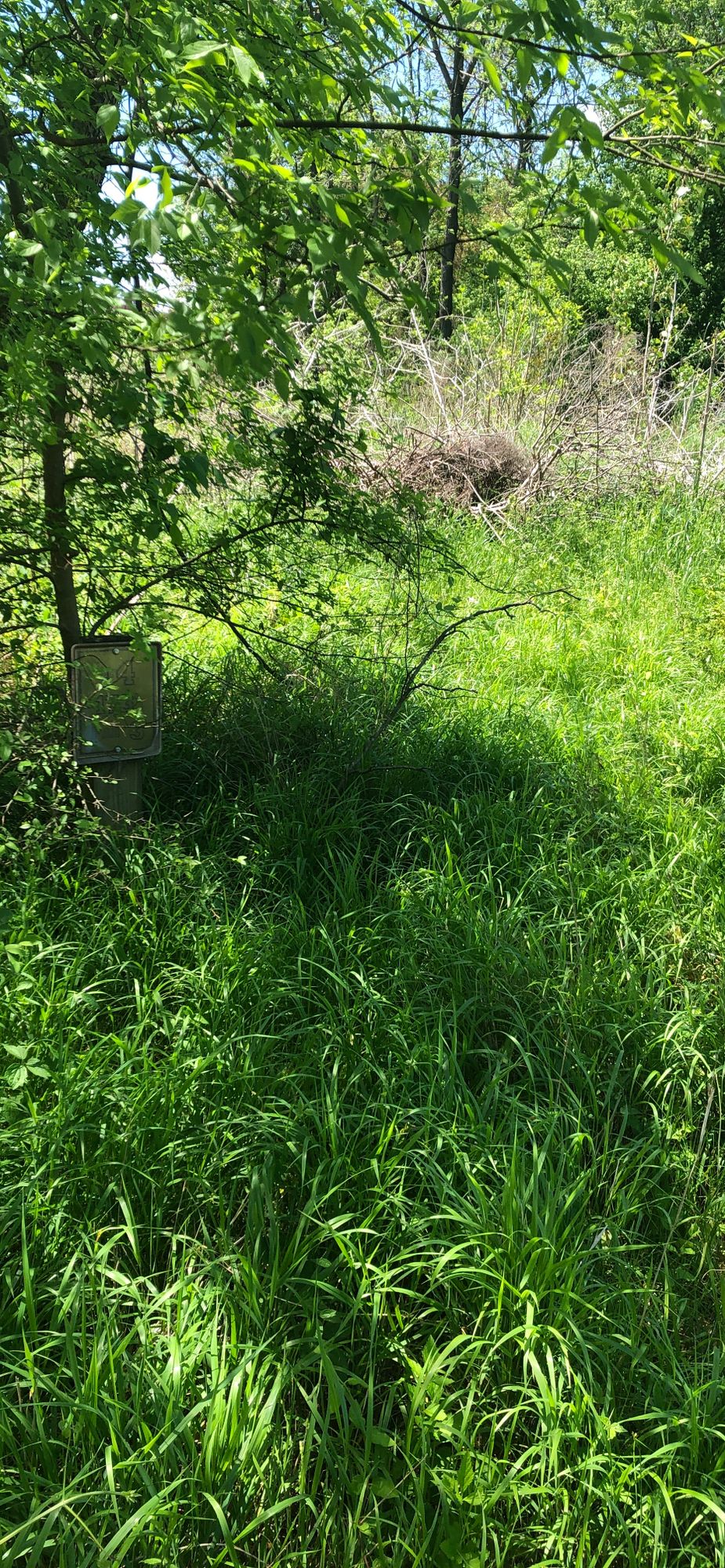 Hole markers could be better upkept/ directional