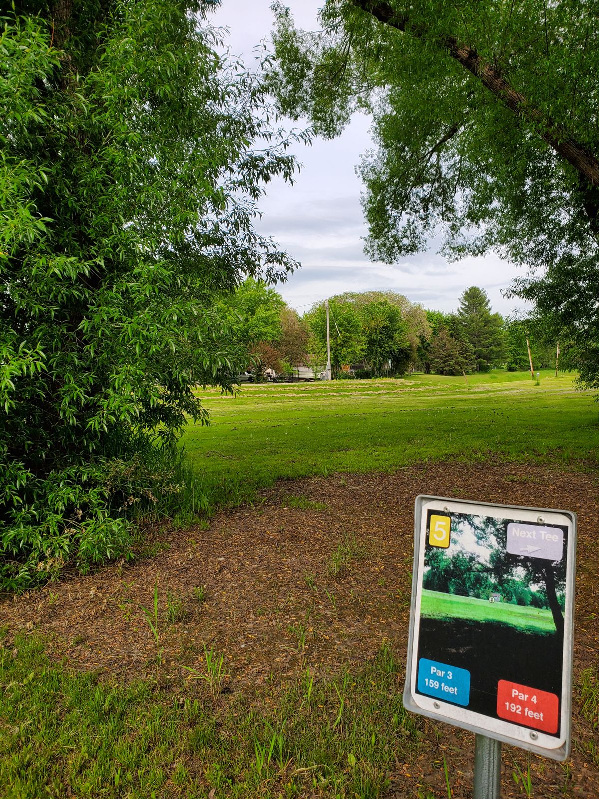 #5 tee