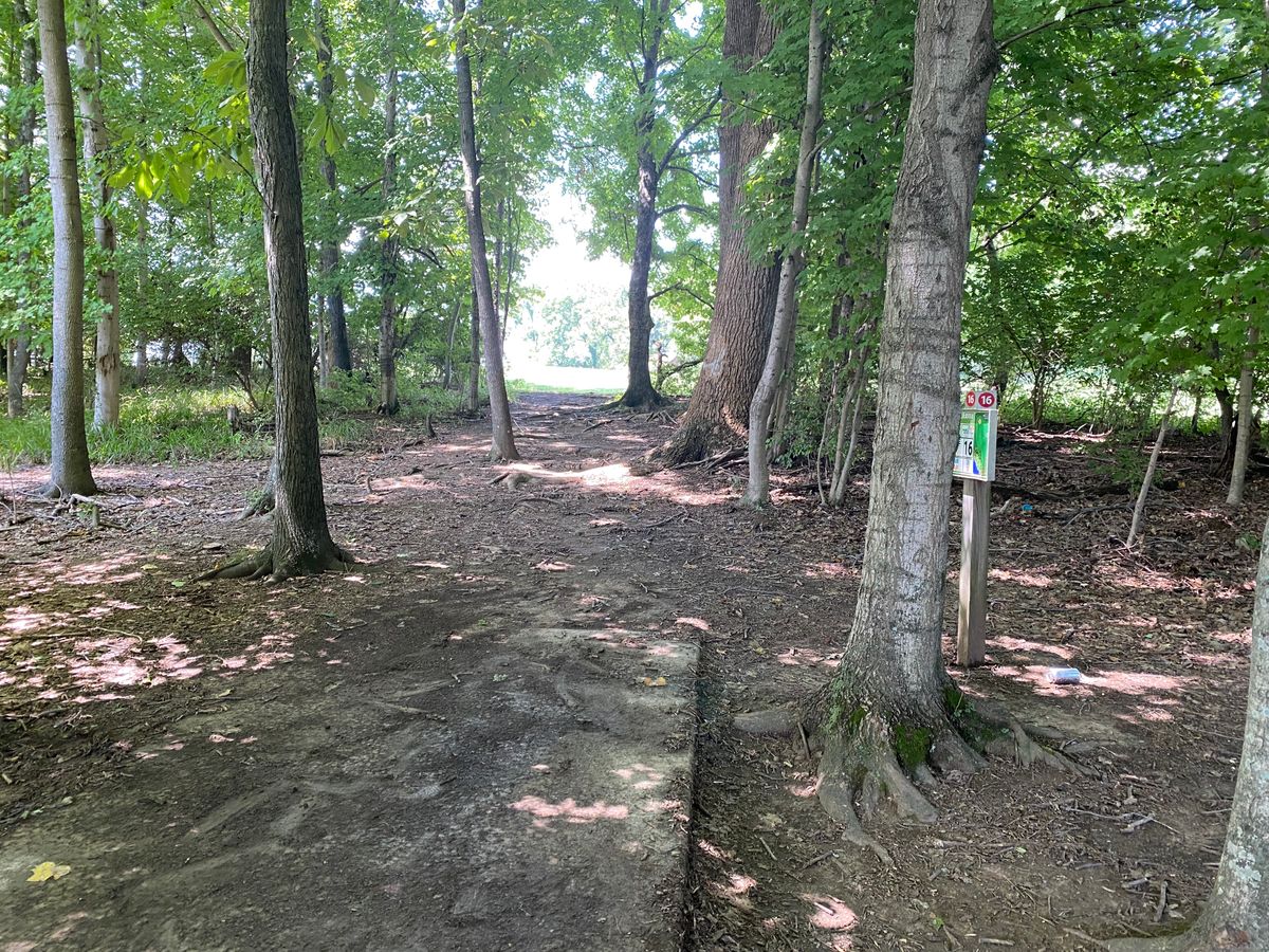 #16 tee pad. Split the uprights!! 🙃