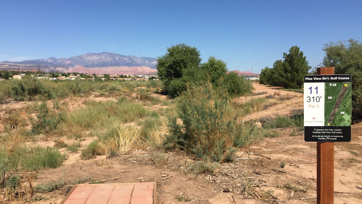 Hole 11