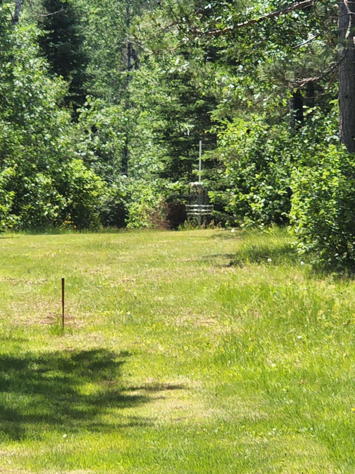 Hole 9 Close-Up