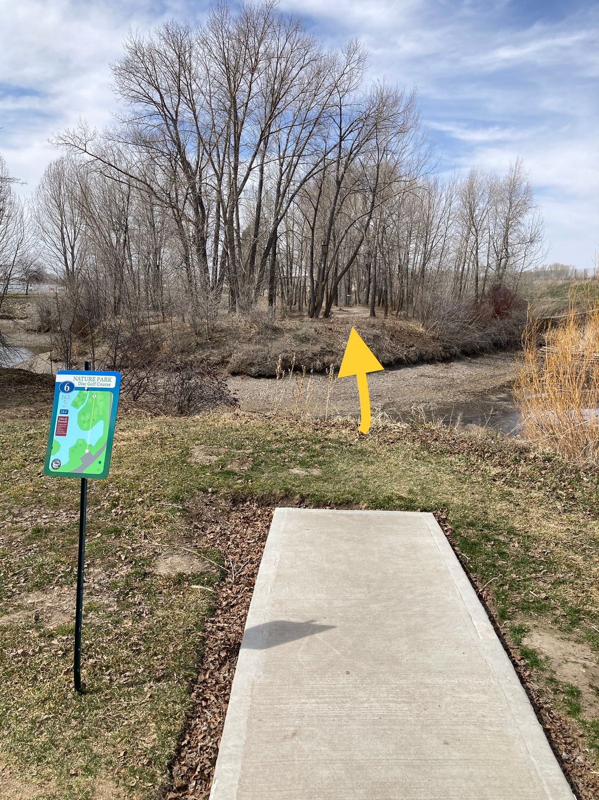 Hole 6 (across pond)