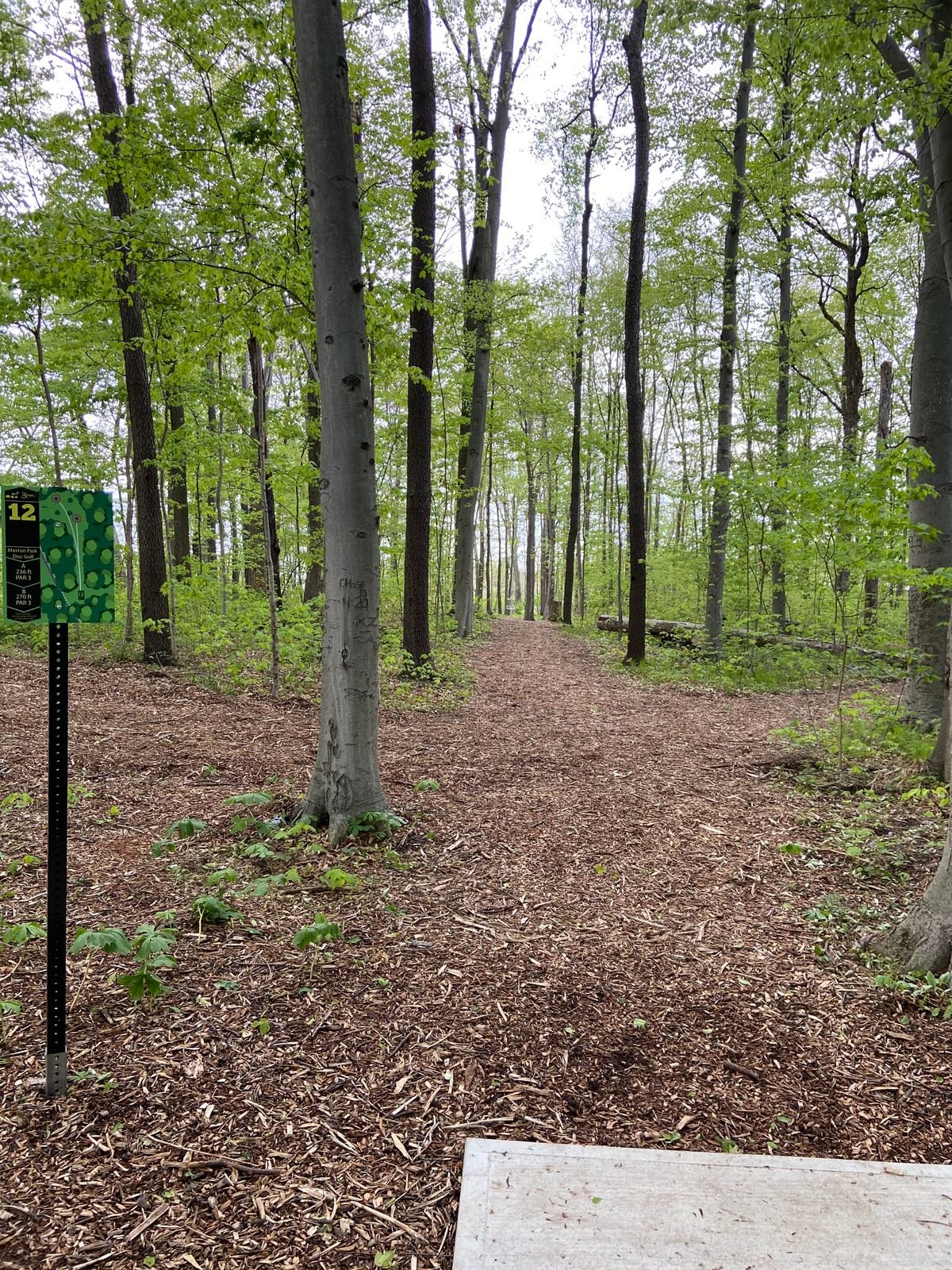 Hole 12’s narrow fairway