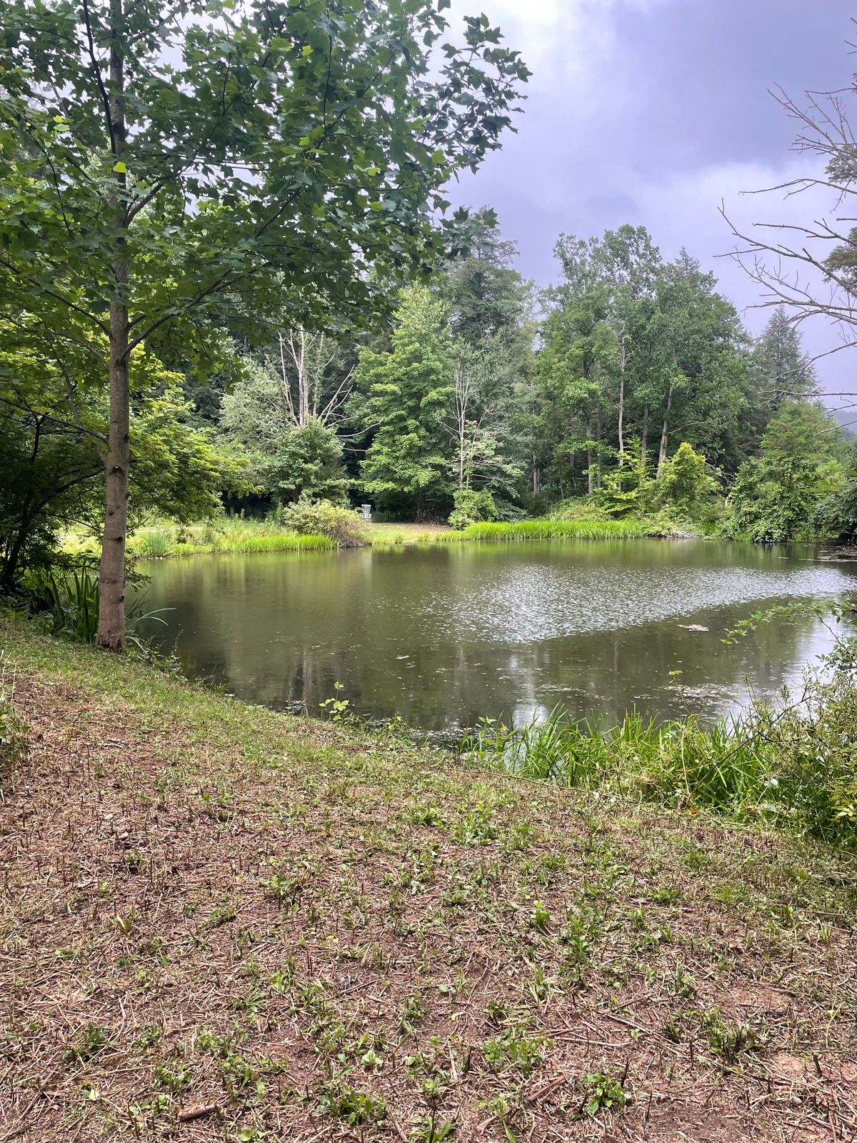 Hole 17 long tee.