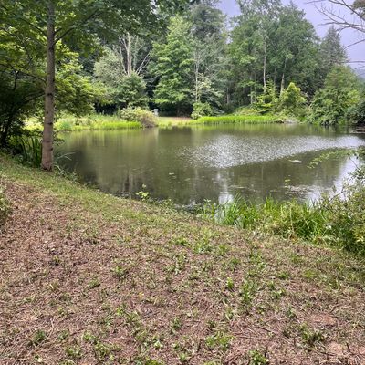 Hole 17 long tee.