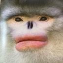 User avatar image