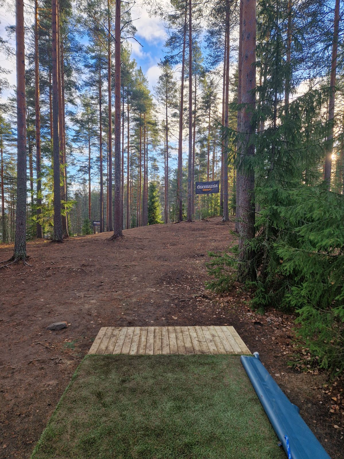 Am tee 2