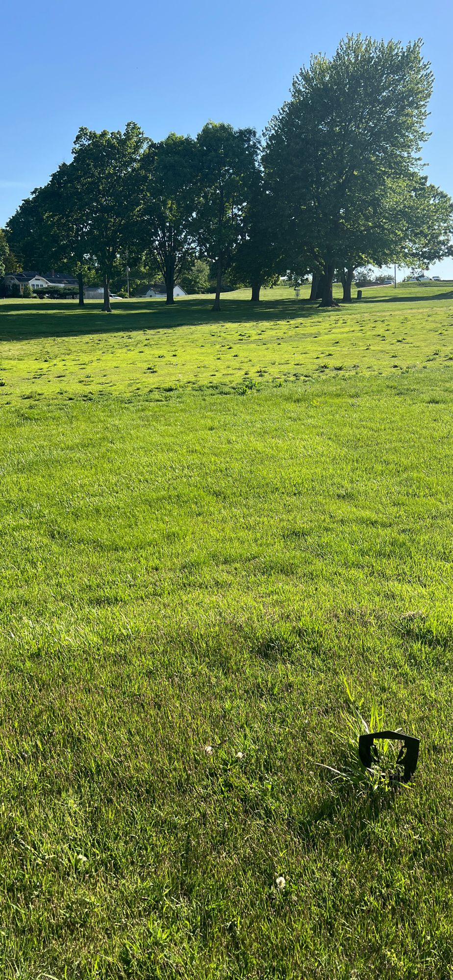 18 tee