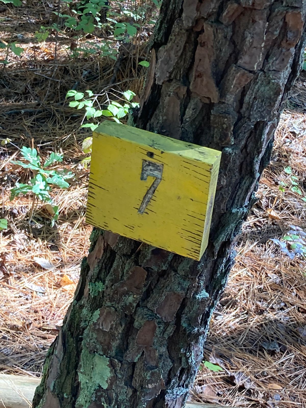 Some older signs mark the holes.