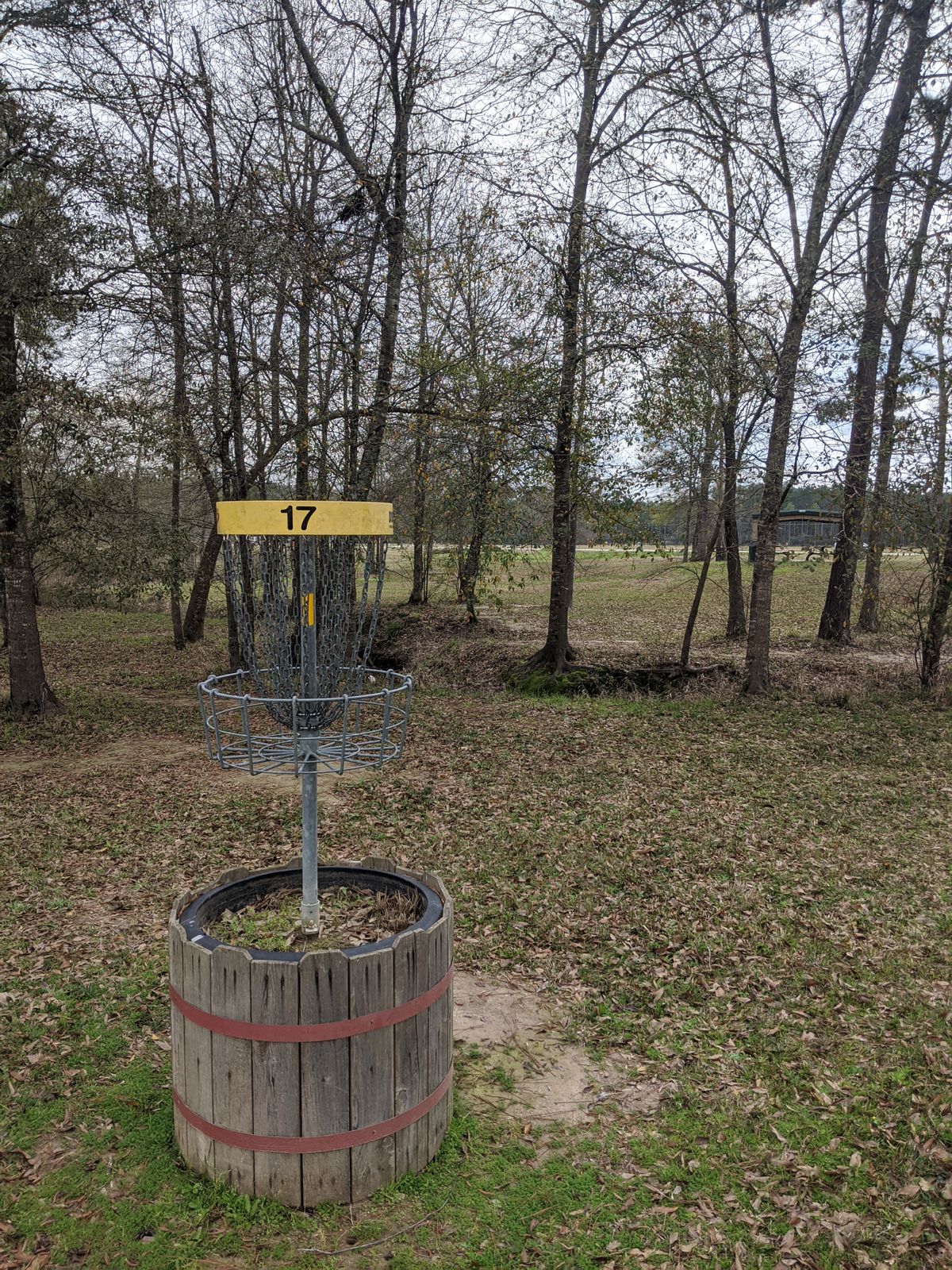 Hole 17 Basket