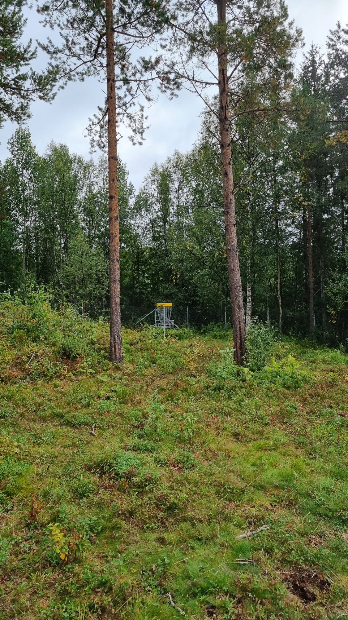 Hole 7