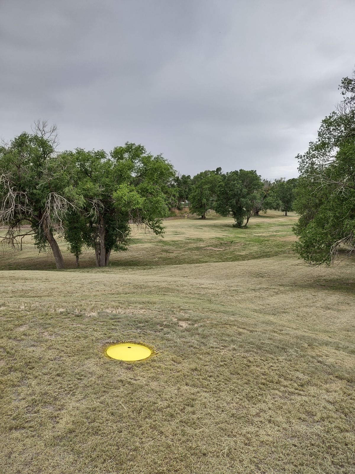 #6 tee on top of the hill by the outhouse looking SW toward the basket.