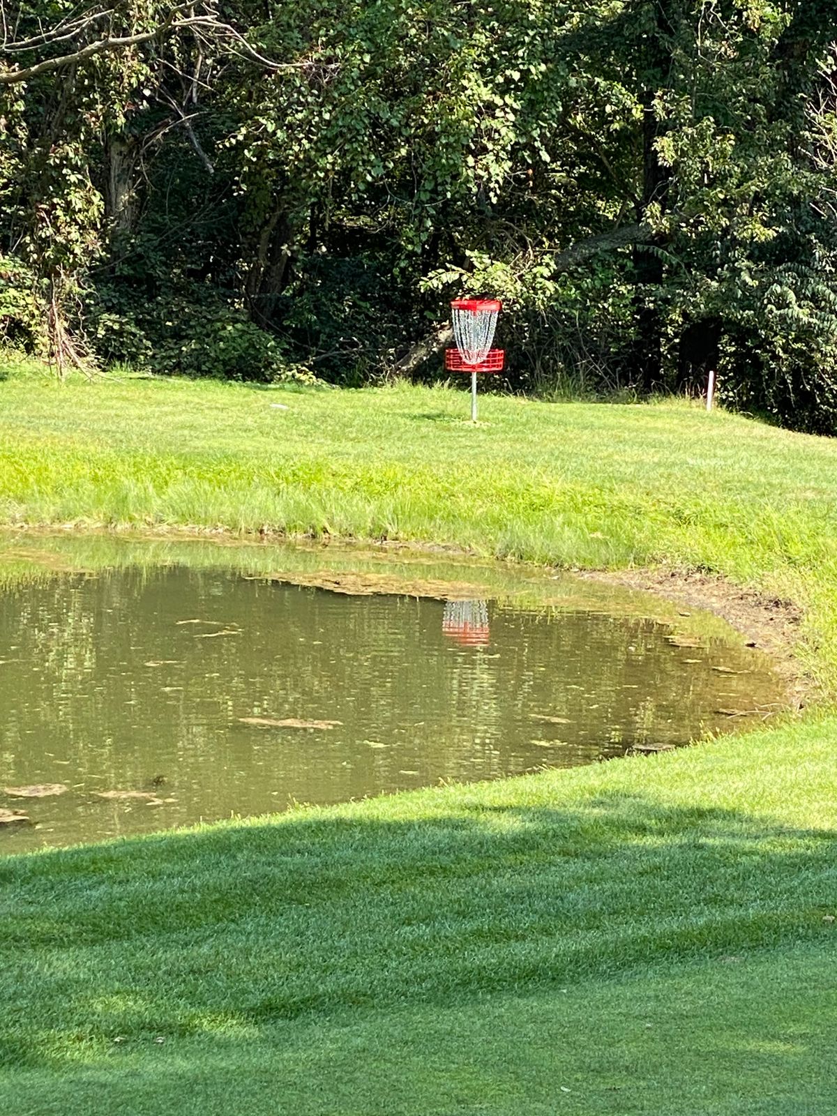 Pin on hole 8
