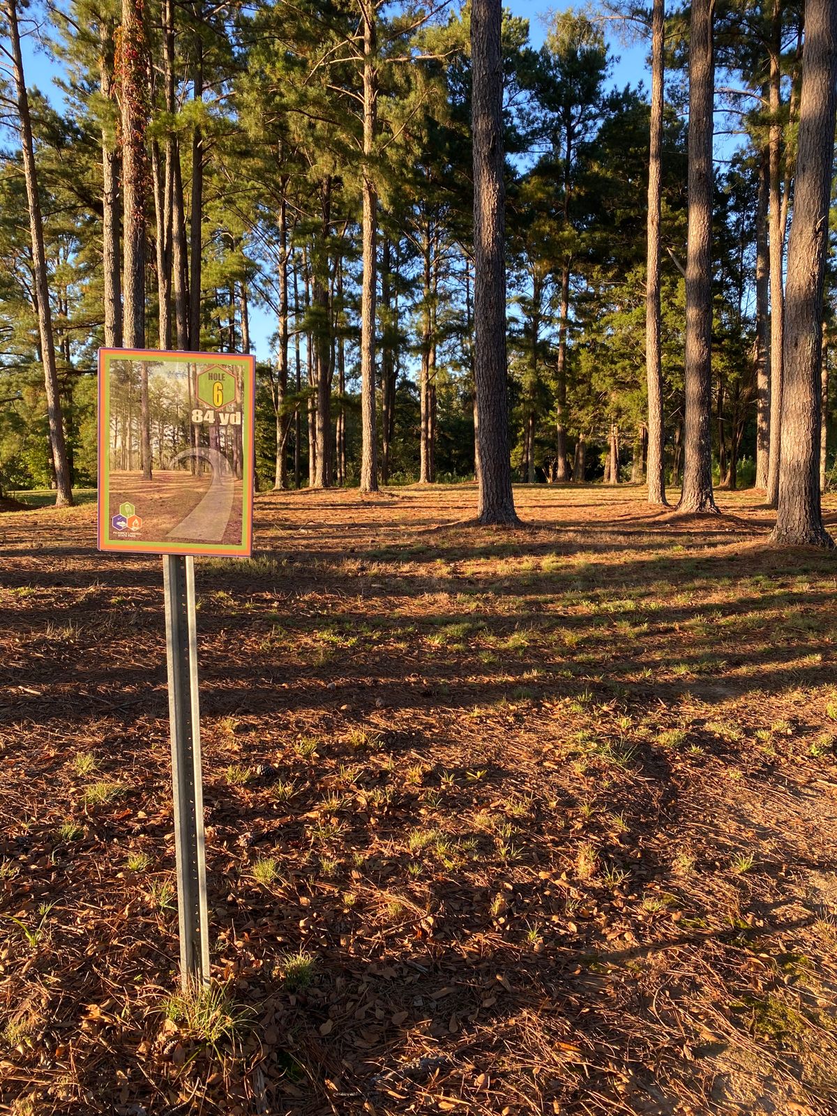 Hole 7
