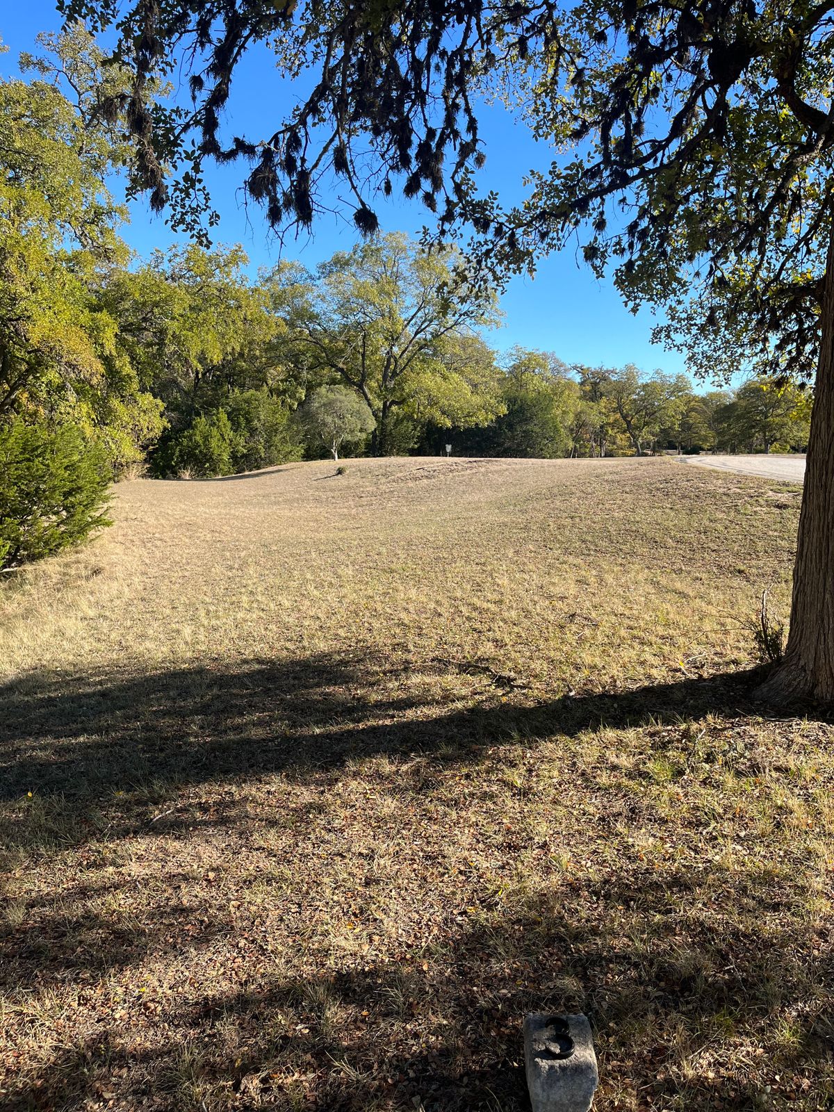 #3 tee