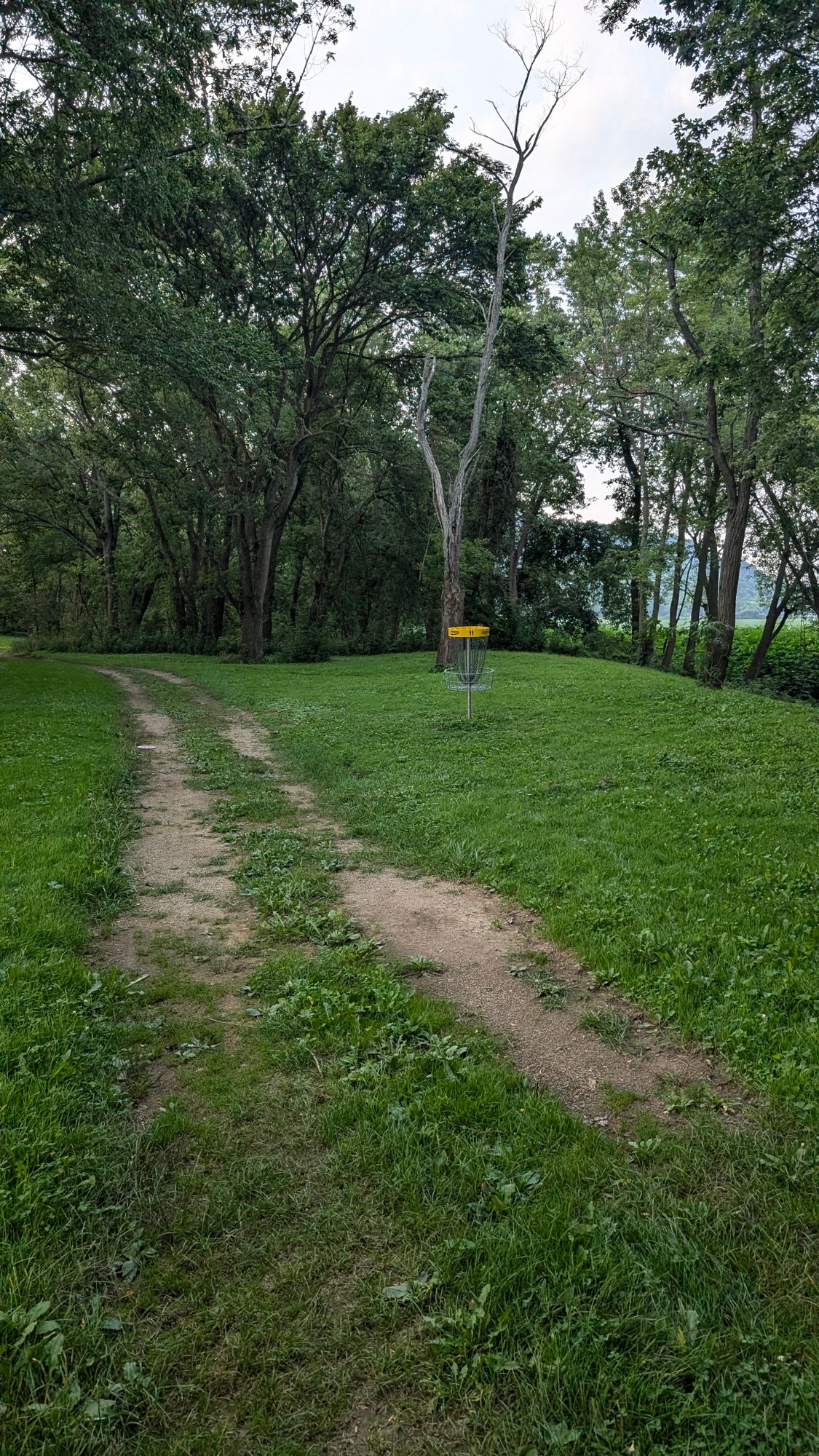 Hole 11
