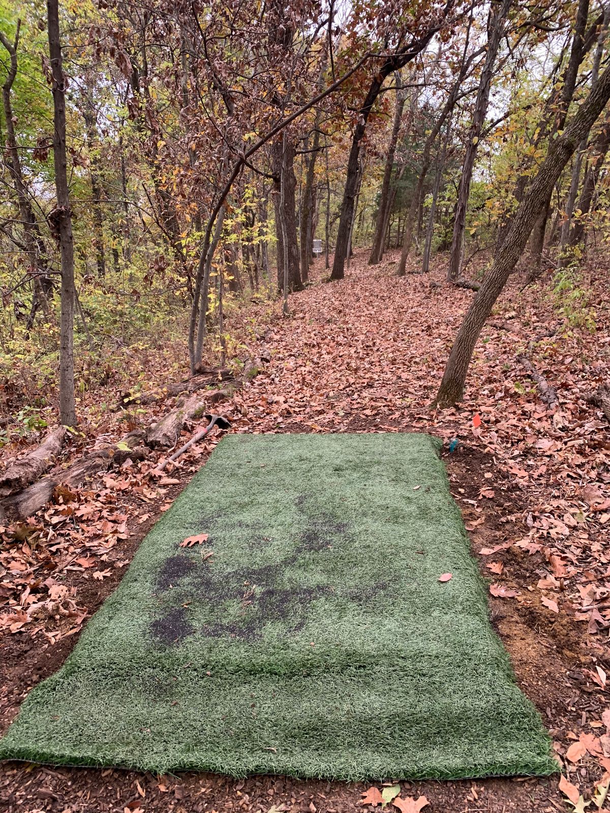 Hole 5