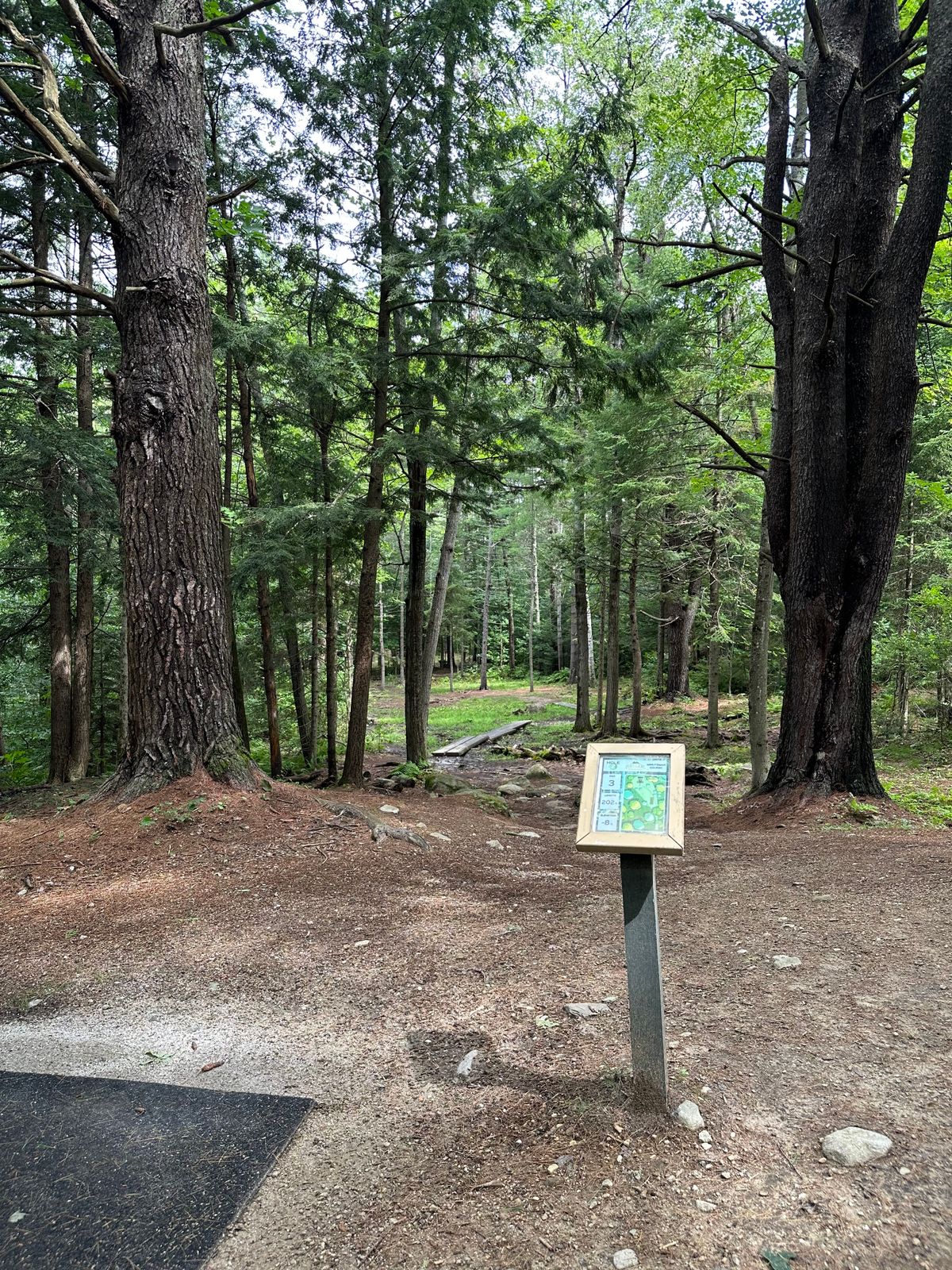 Hole 2