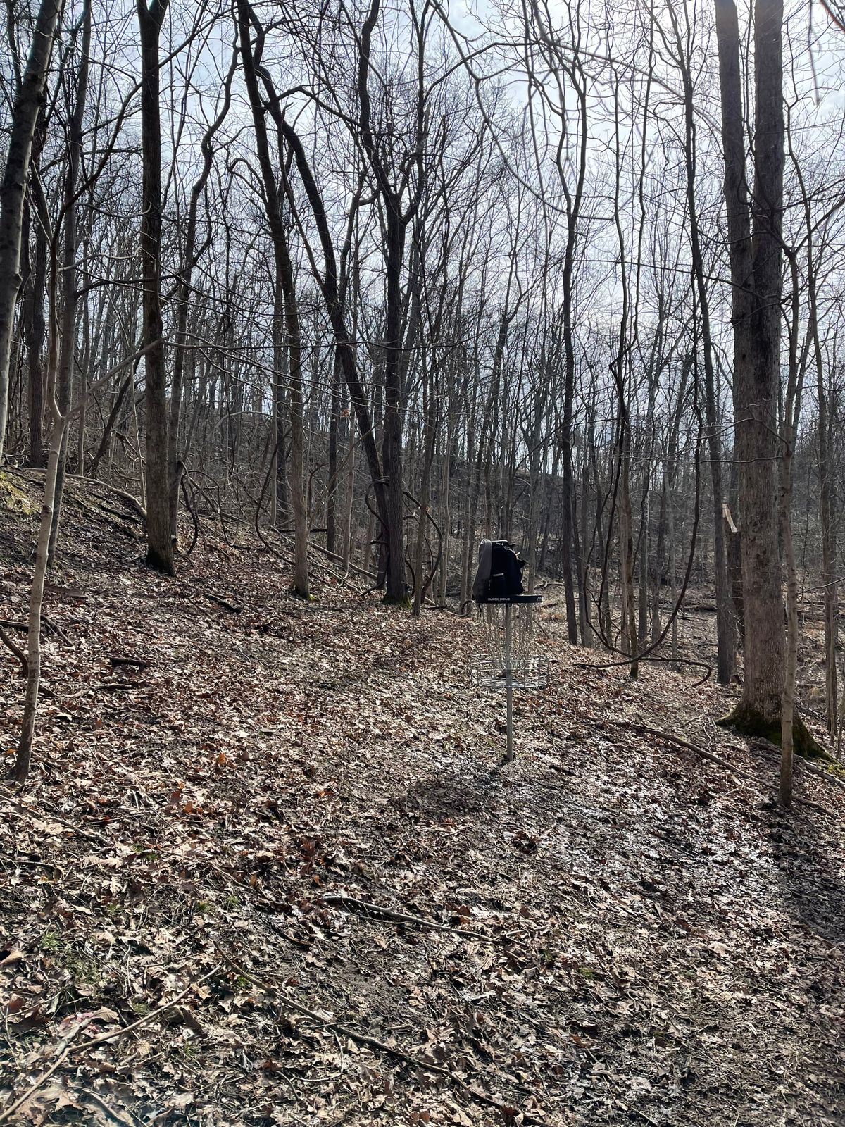 Hole 14 (Green)