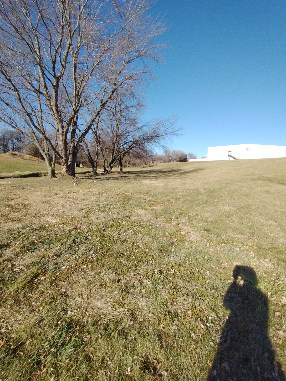 Hole 4 Fairway
