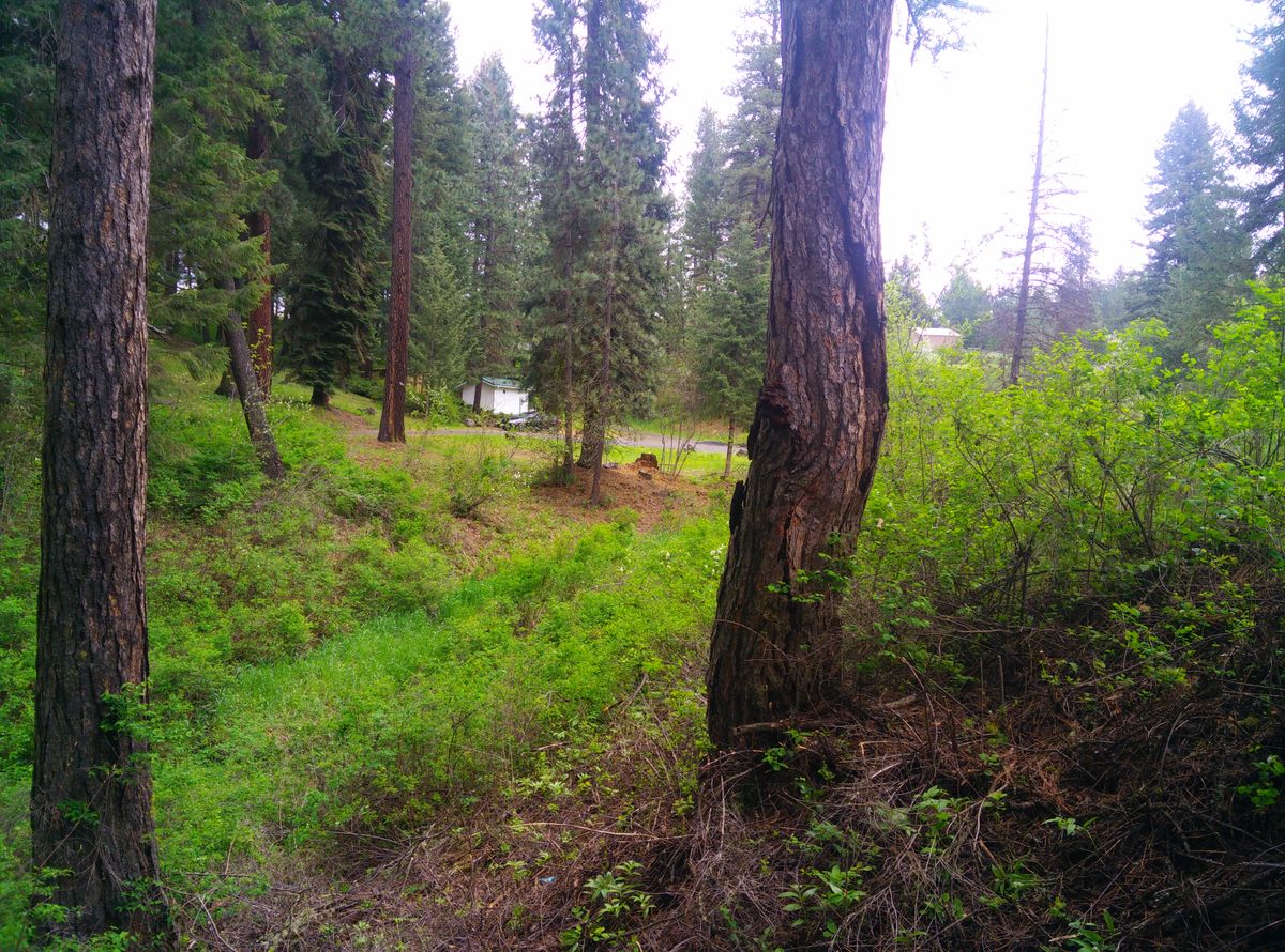 Hole 9
