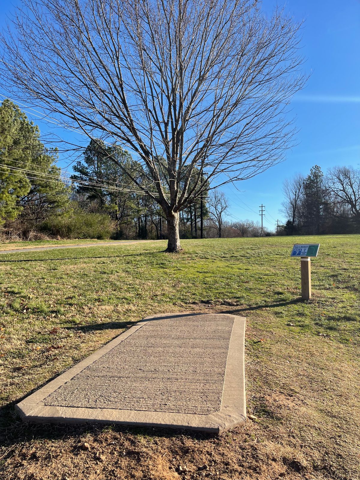 Hole 7 tee pad