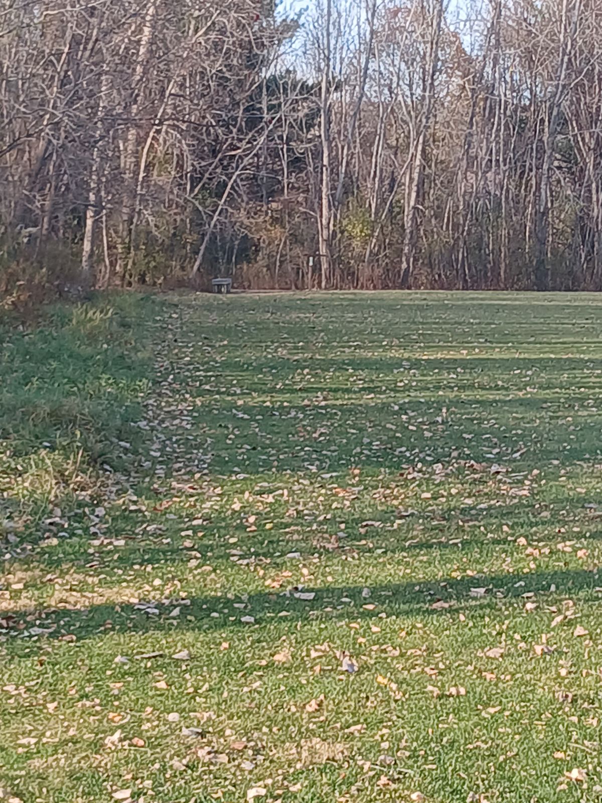 Upper Fairway 