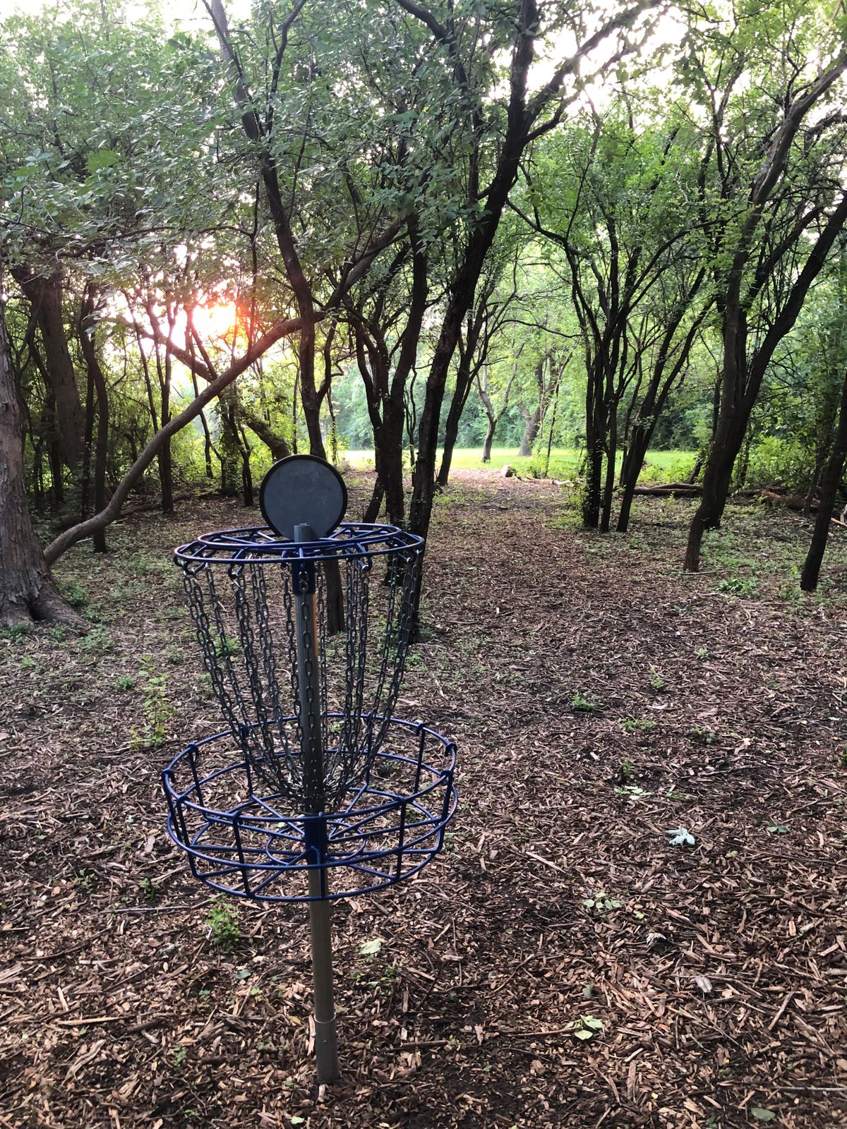 Hole #6 basket