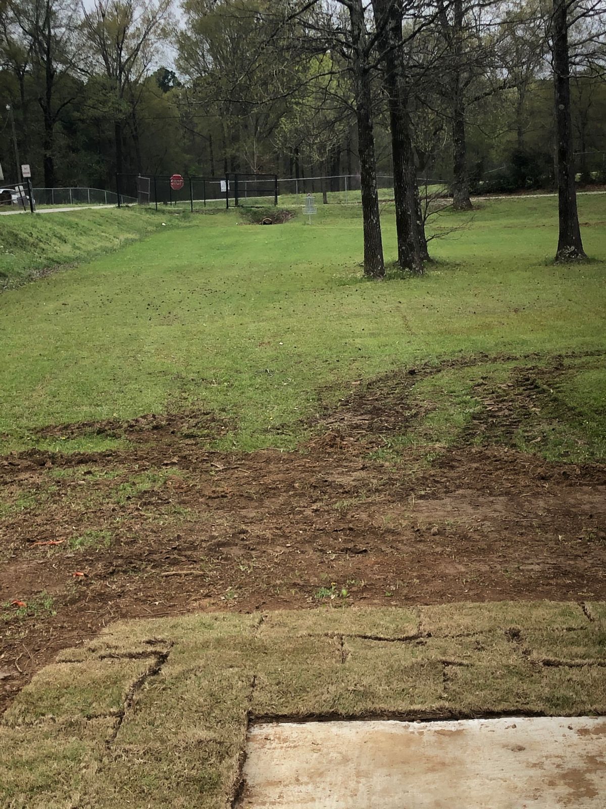 Hole 8