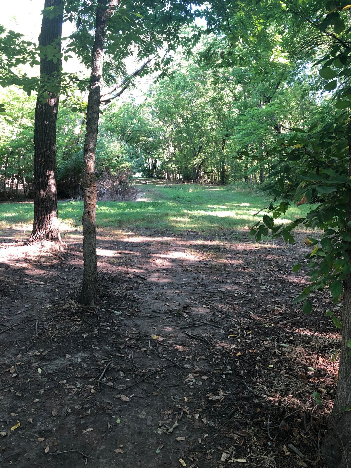 Hole 15 from the tee pad.