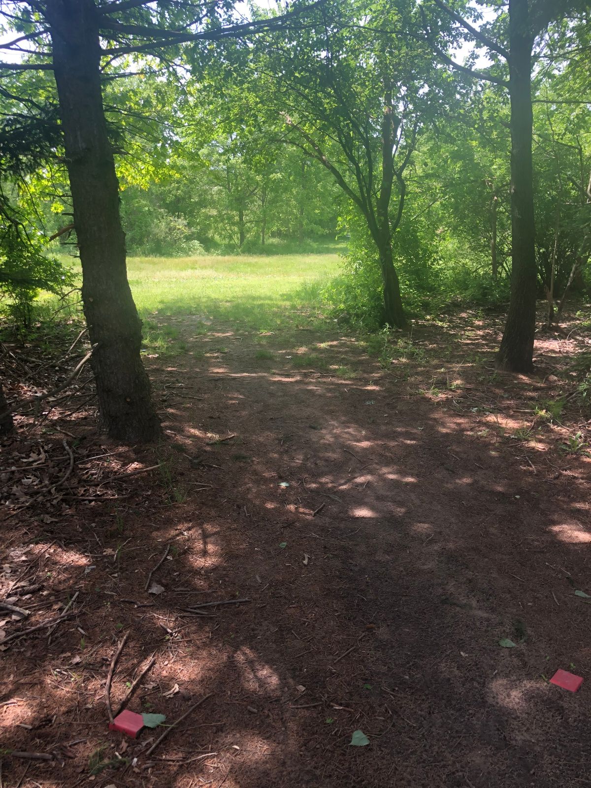 Hole 12 red tee