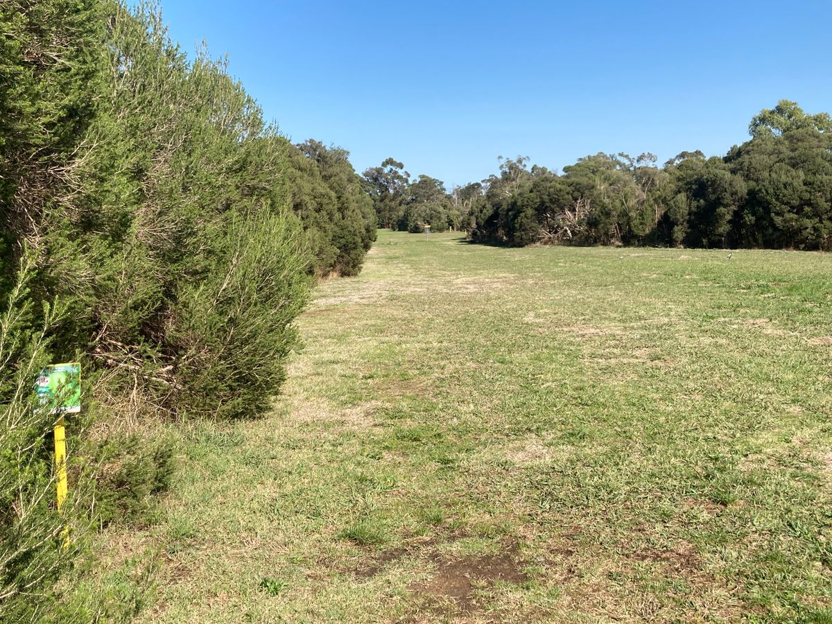 Hole 2/7. Staying in the fairway is more important than distance.