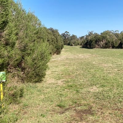 Hole 2/7. Staying in the fairway is more important than distance.