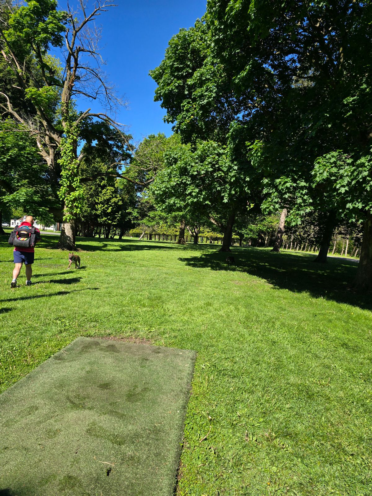 Hole 11