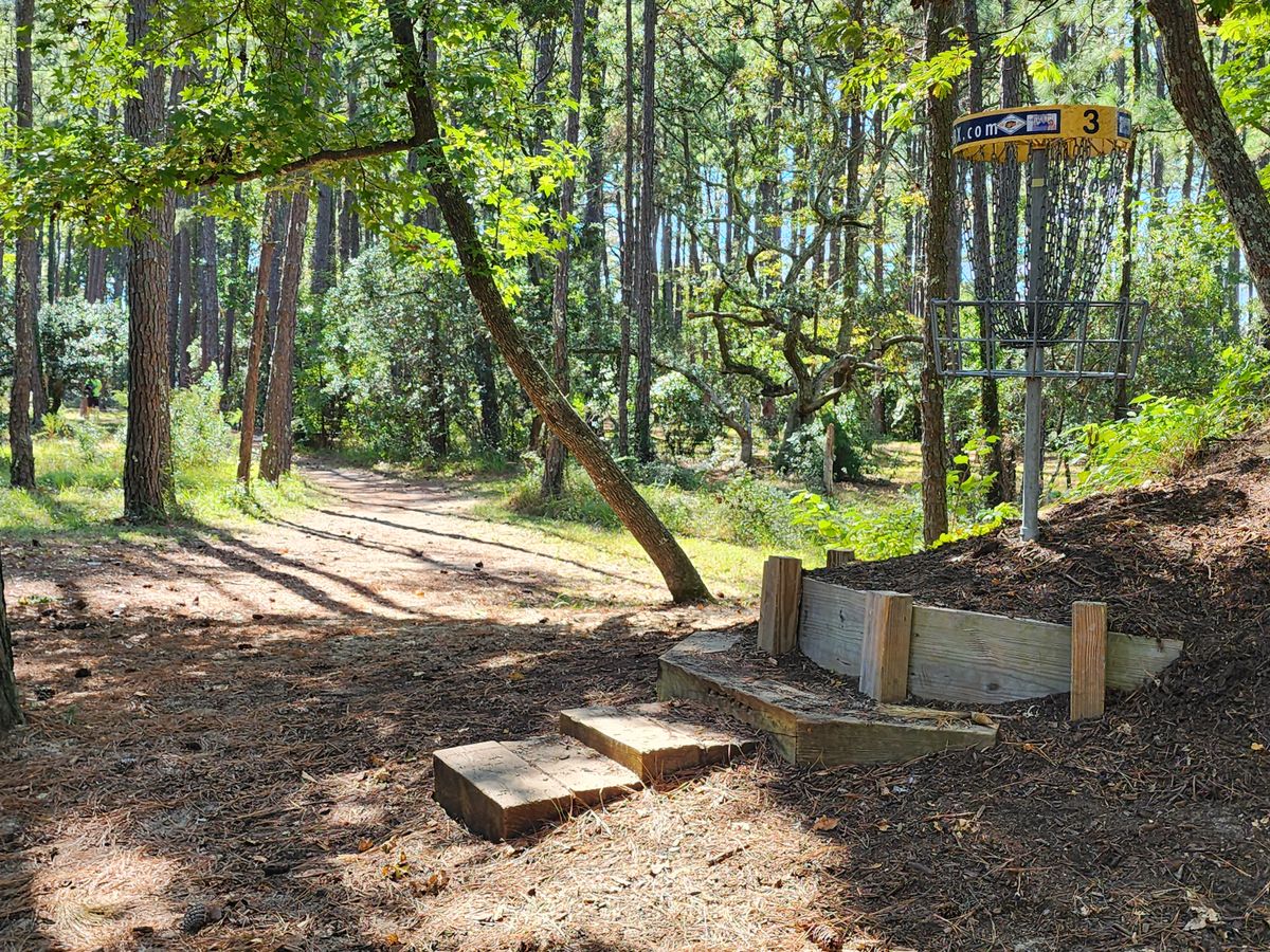 Hole 3 Yellow Basket