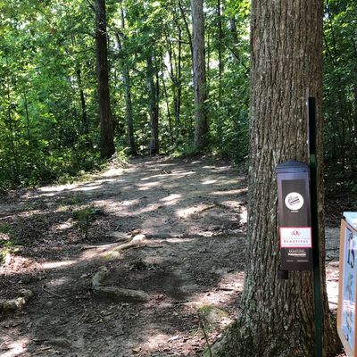 Hole #15 tee