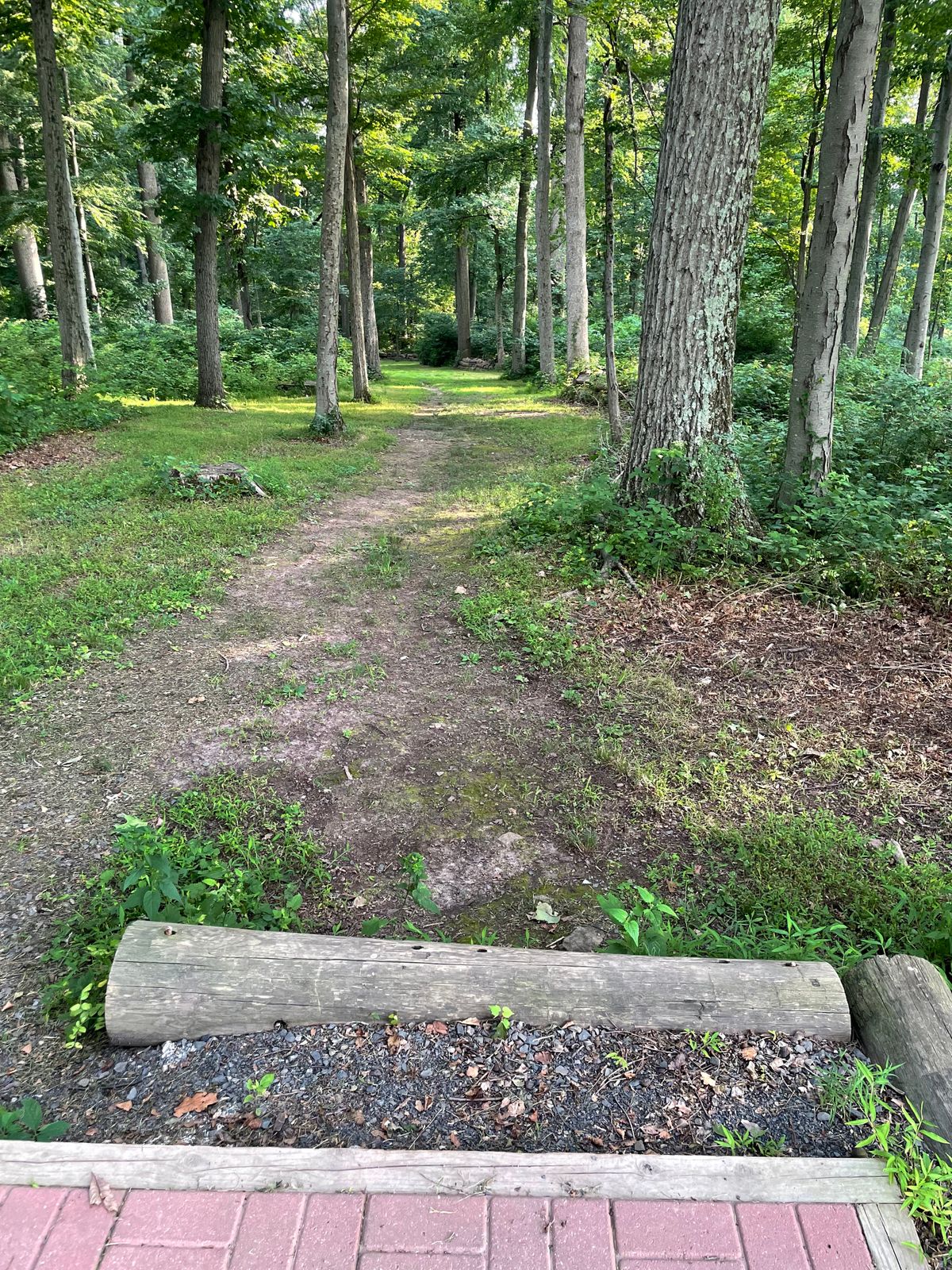 Hole 32 Long tee