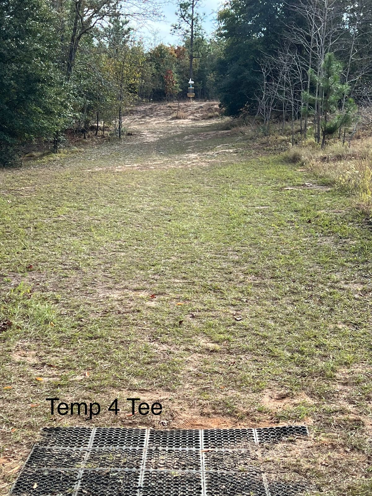 Army Temp Hole 4