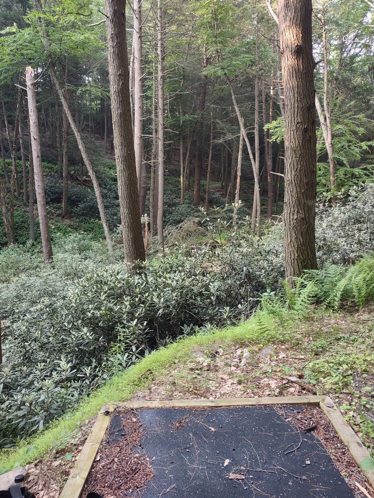 Hole 4 Tee