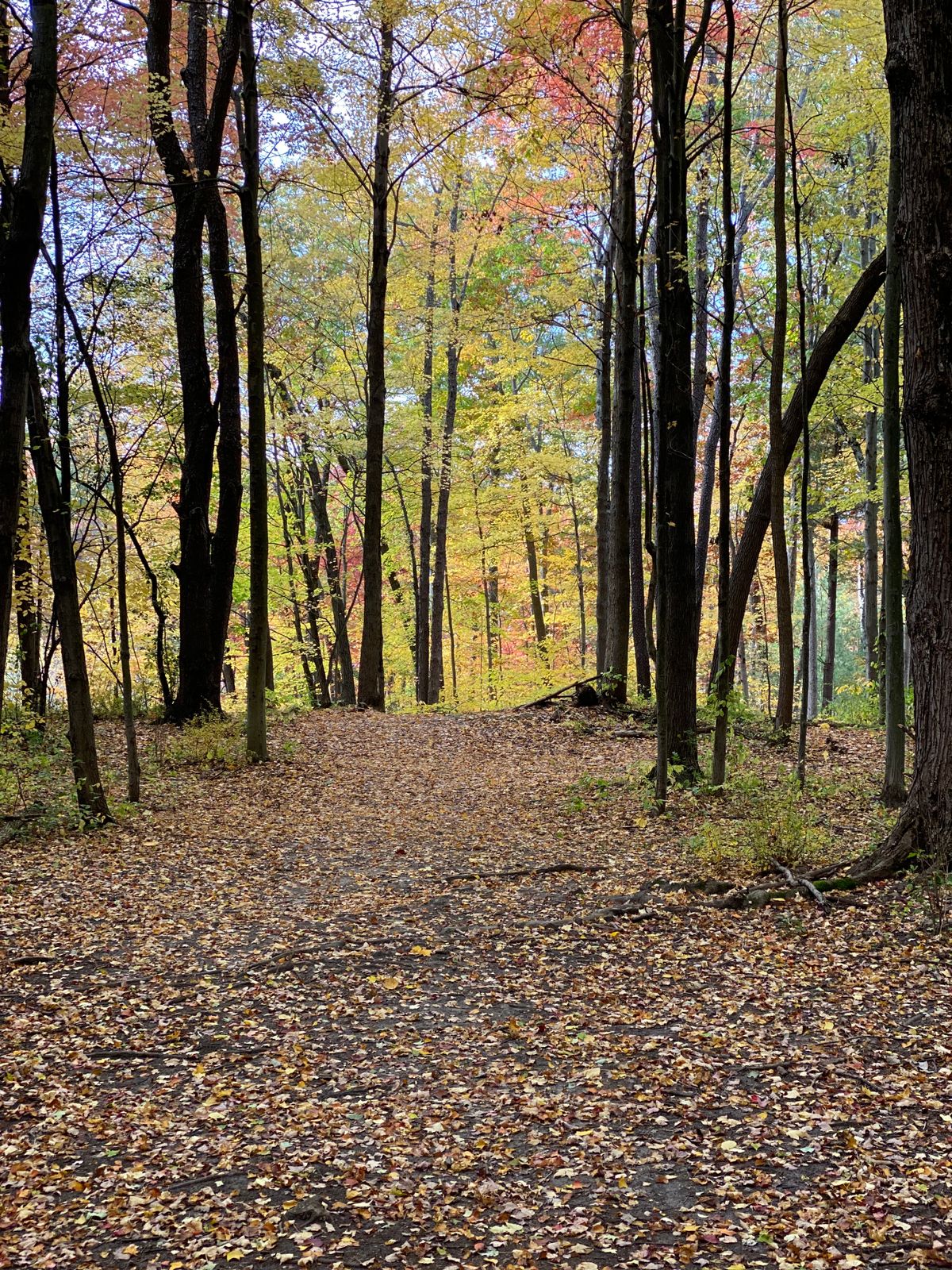 Hole 7 fairway