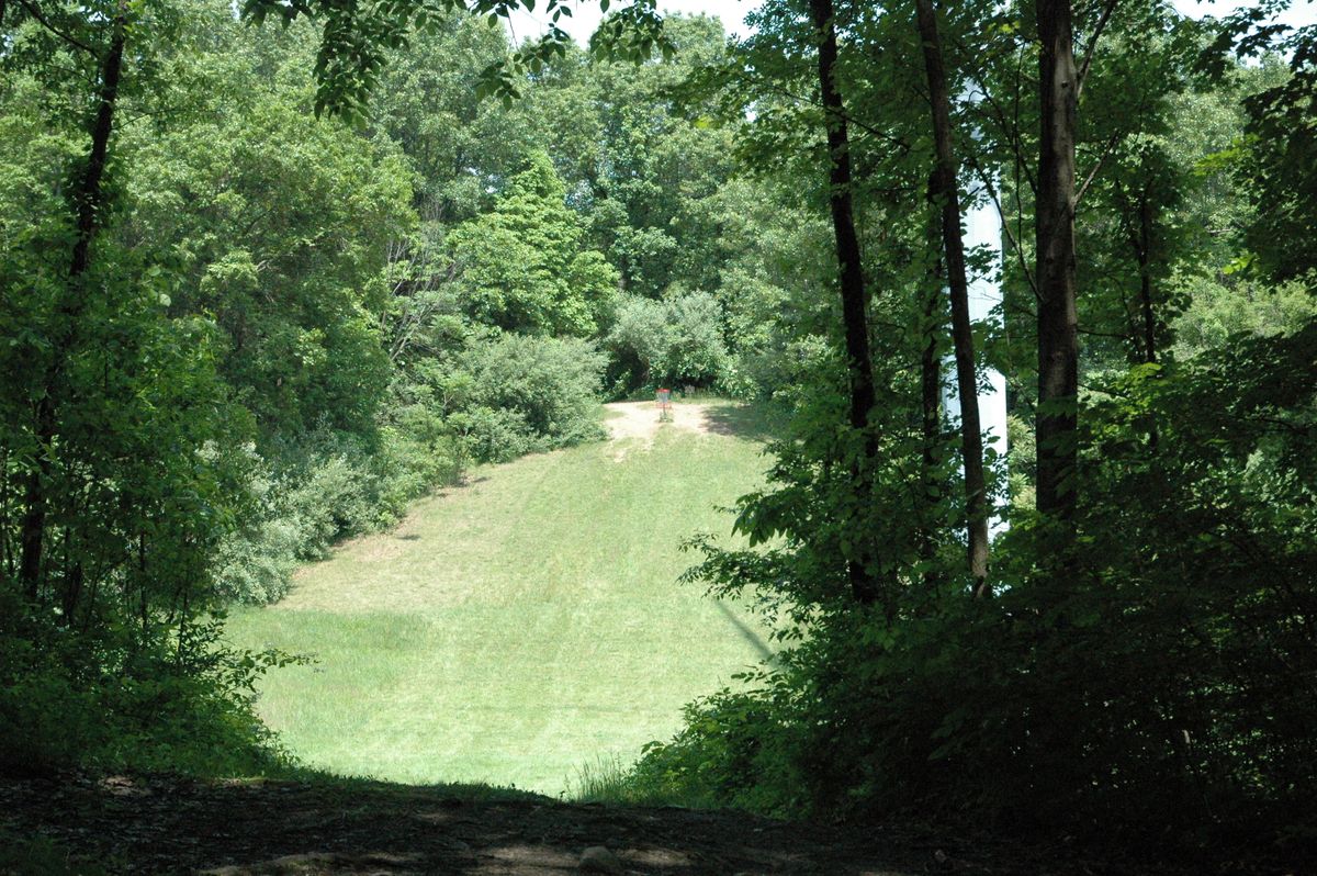 Alternate view from tee pad, easier to see the basket