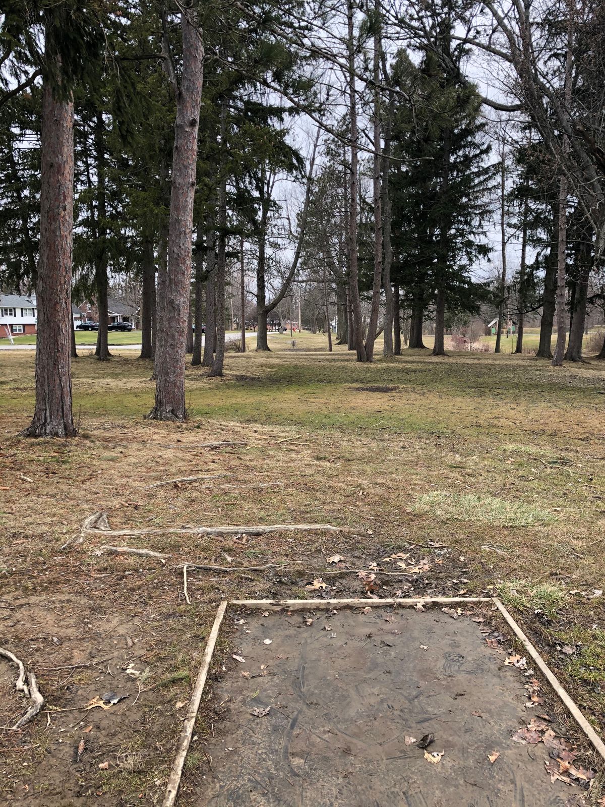 5th tee