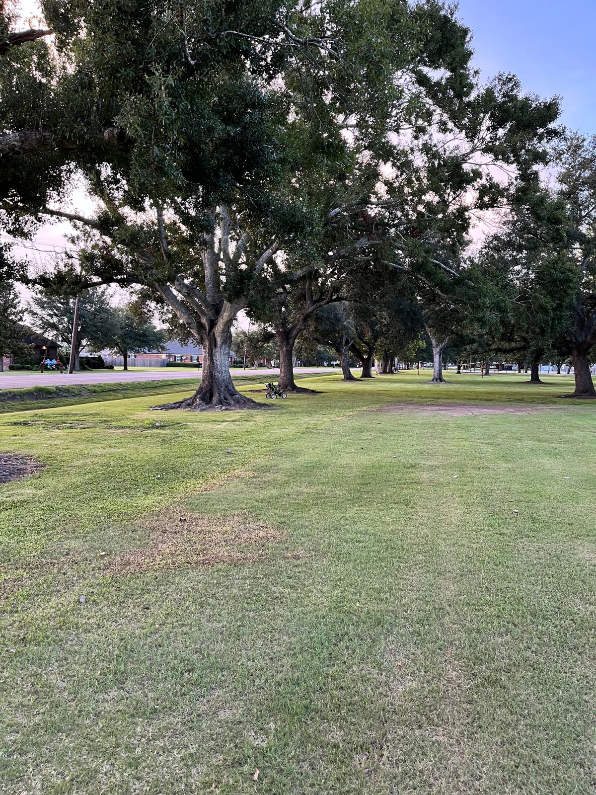 Hole 3 Green (cart represents target)