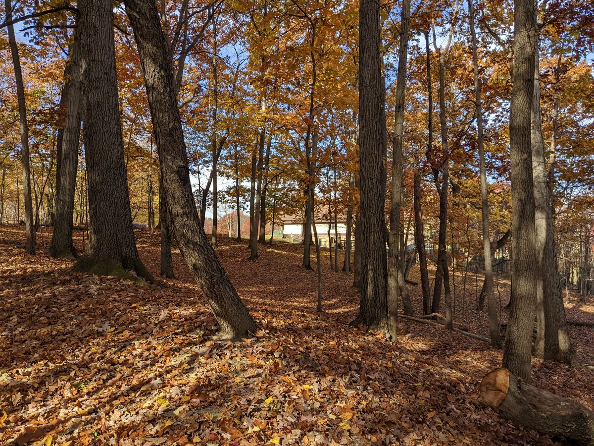 Hole 17 approach
