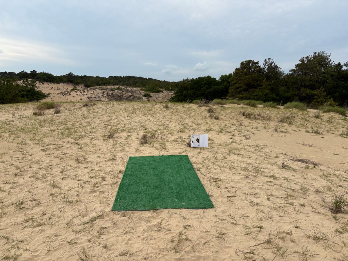Hole 2 tee