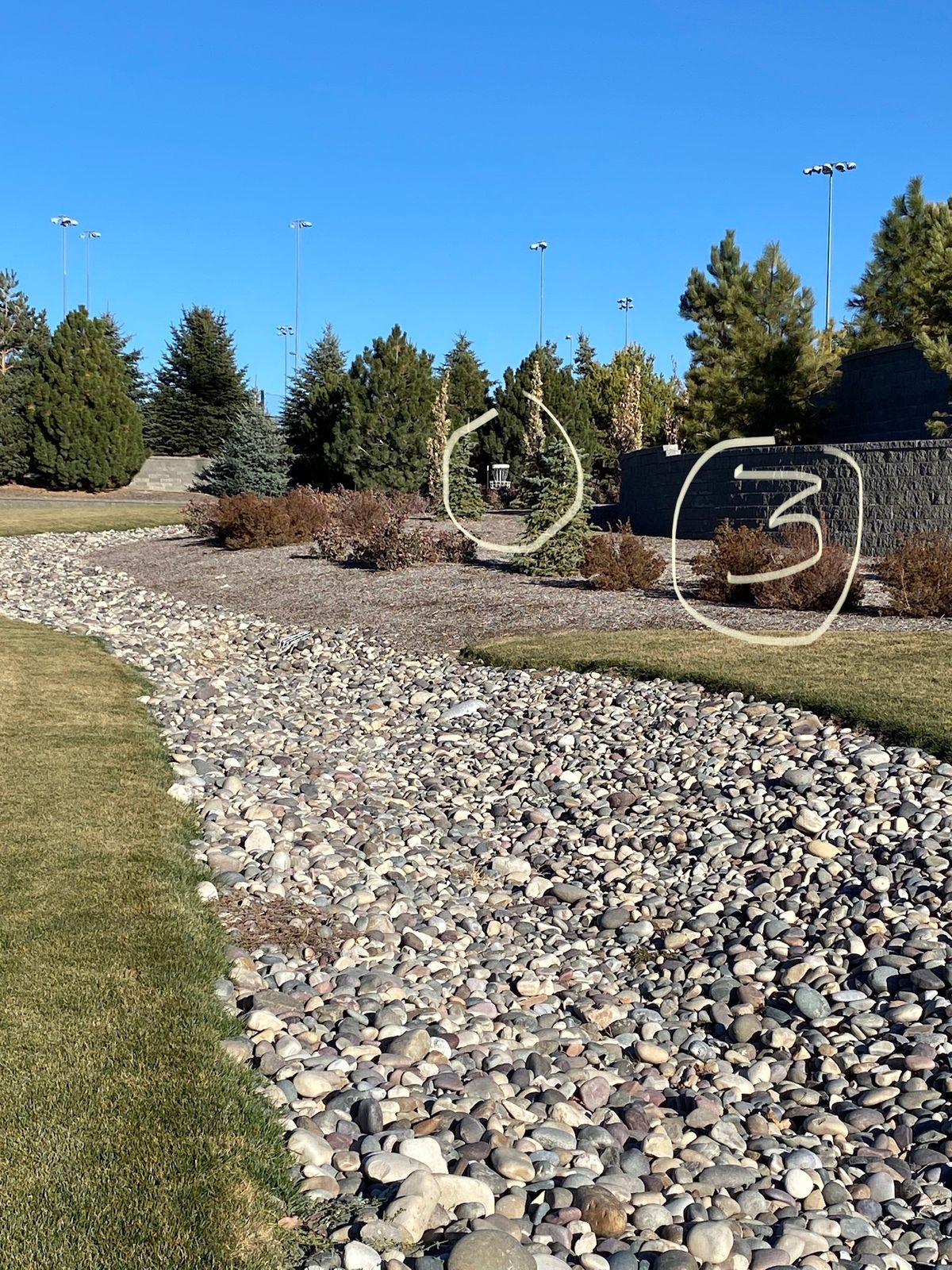 This is the basket for hole 3