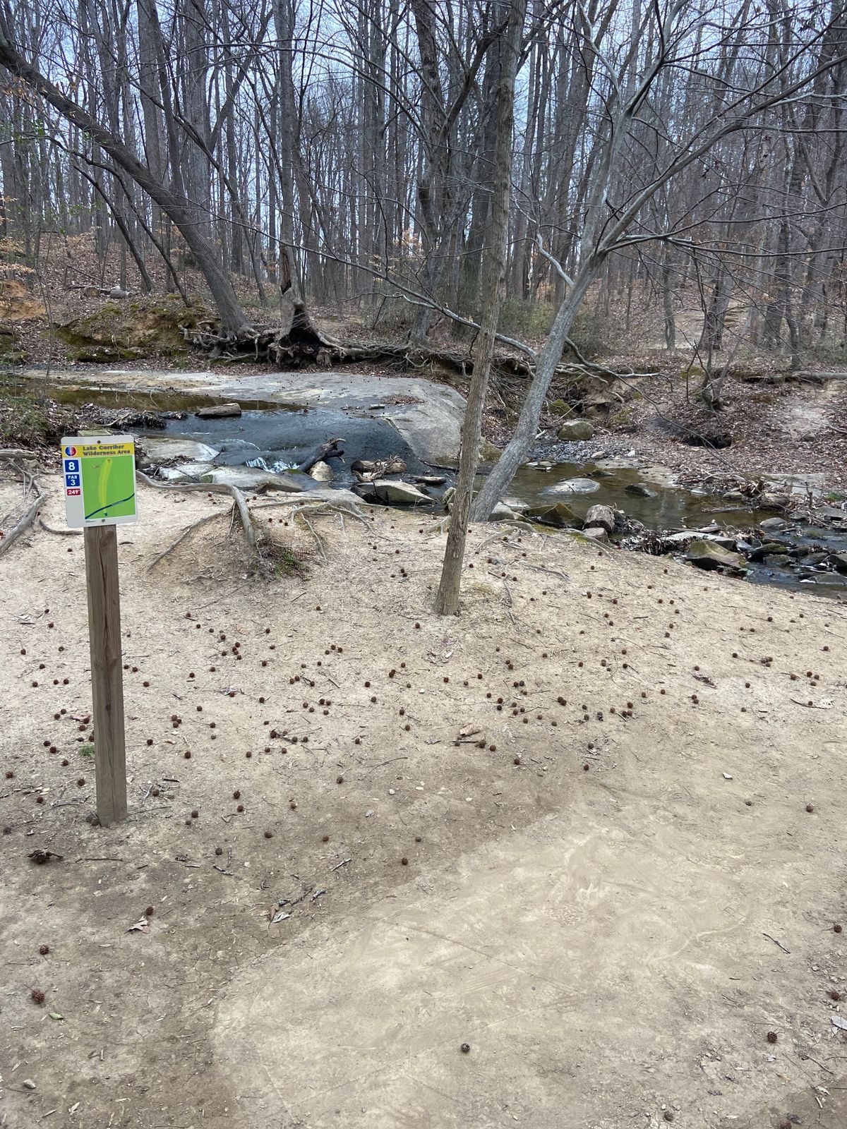 Hole 8 creek view